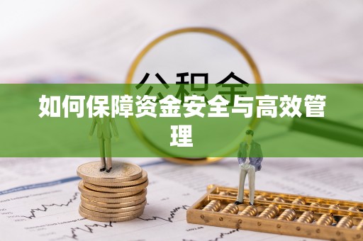 景东如何保障资金安全与高效管理