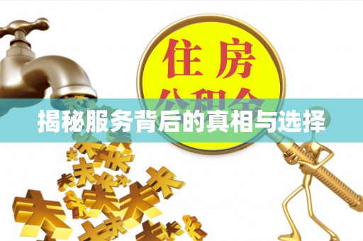景东揭秘服务背后的真相与选择