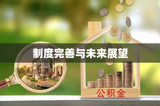 景东制度完善与未来展望