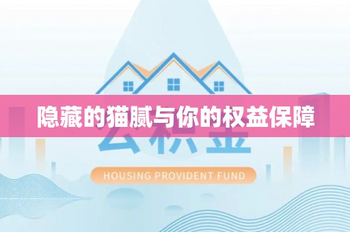景东隐藏的猫腻与你的权益保障