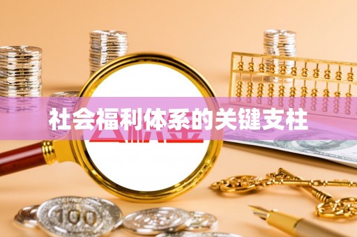 景东社会福利体系的关键支柱
