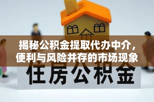 景东揭秘公积金提取代办中介，便利与风险并存的市场现象