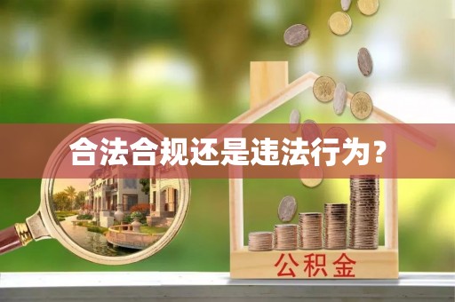 景东合法合规还是违法行为？