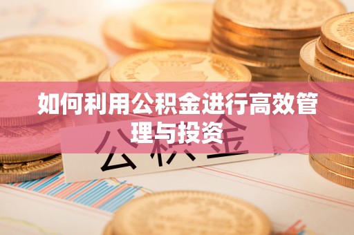 景东如何利用公积金进行高效管理与投资