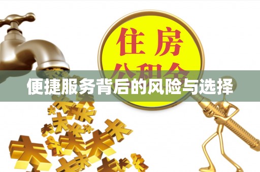 景东便捷服务背后的风险与选择