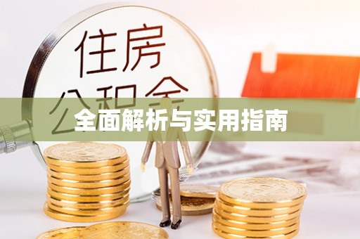 景东全面解析与实用指南