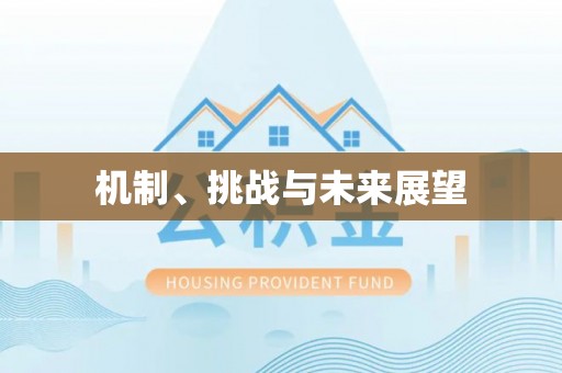 景东机制、挑战与未来展望