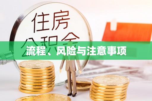 景东流程、风险与注意事项