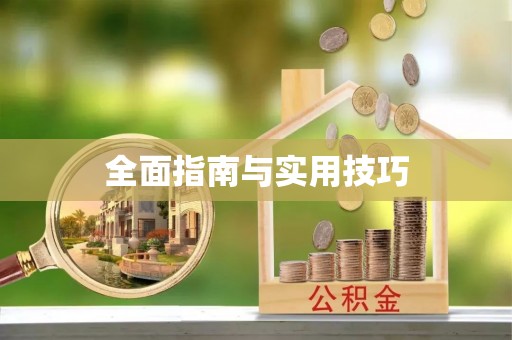 景东全面指南与实用技巧