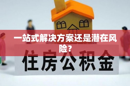 景东一站式解决方案还是潜在风险？